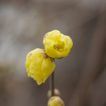 2010-01-10-1