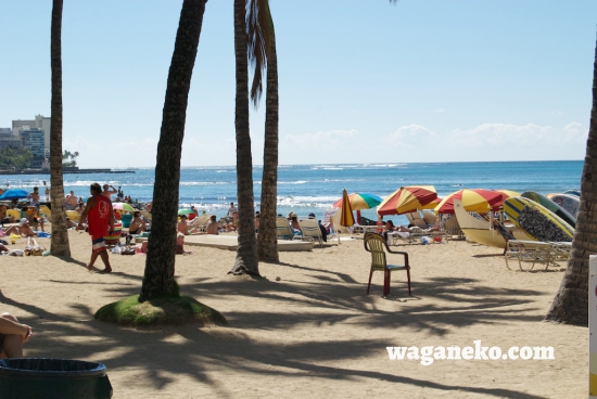 Waikiki beach with parasols