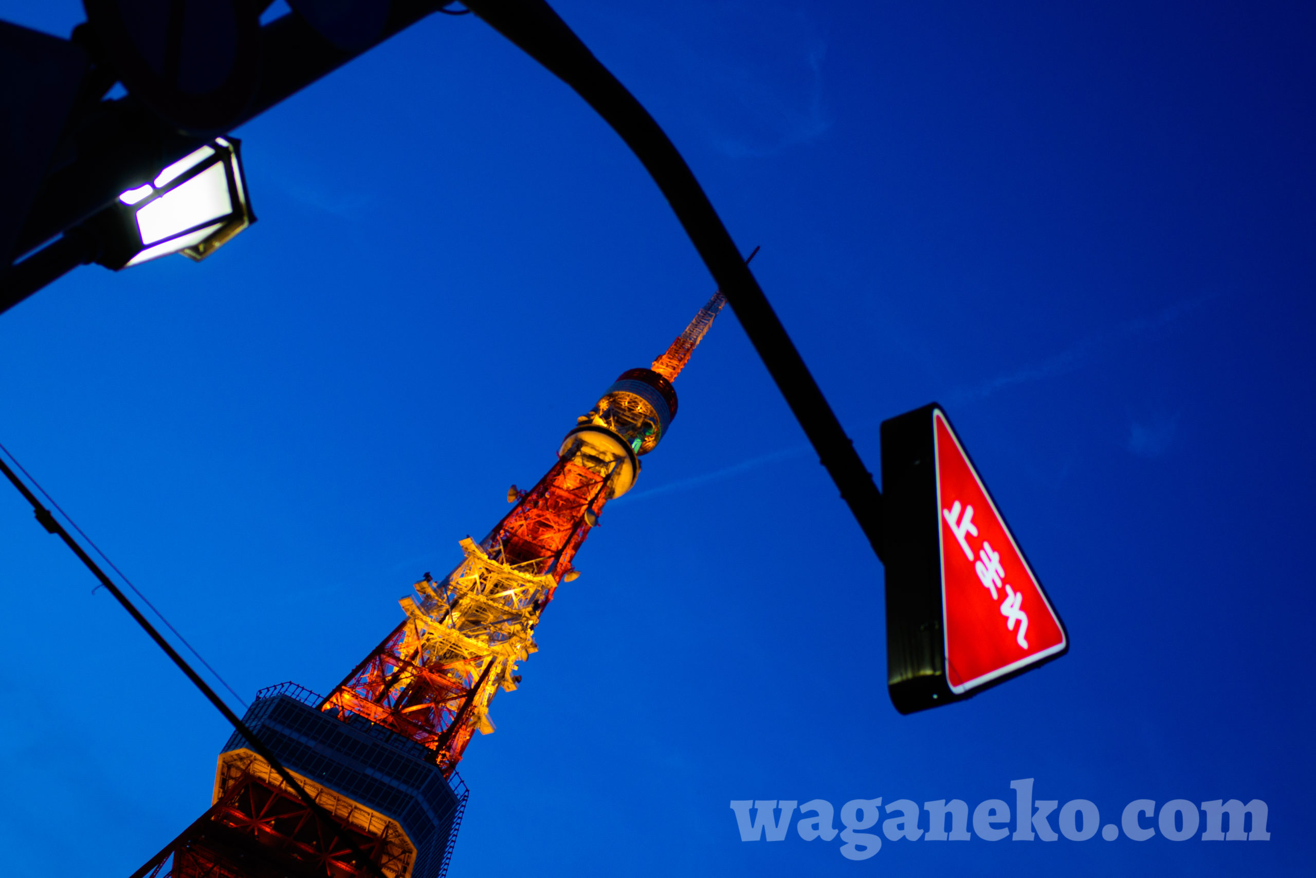東京タワー / 夕暮れ